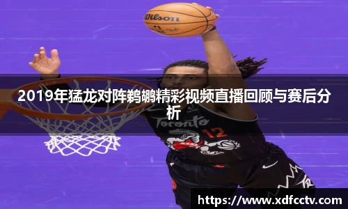 zoty中欧2019年猛龙对阵鹈鹕精彩视频直播回顾与赛后分析